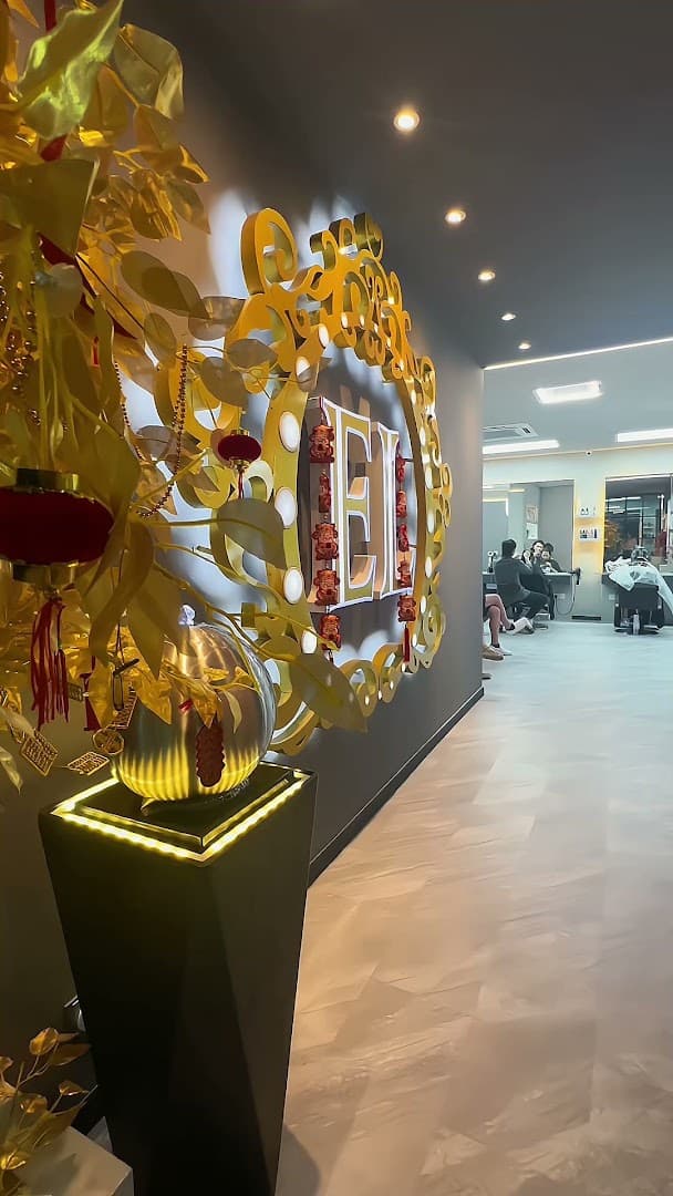 EL Professional Hair Studio 2