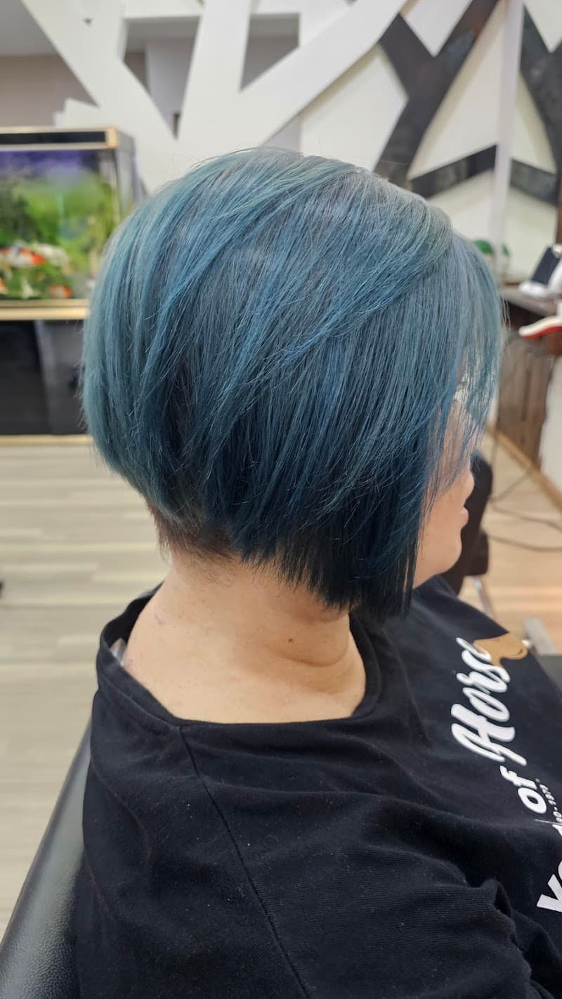 East Star Hair Salon 2