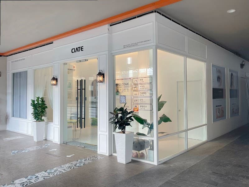 Ciate Eyelash Studio 2