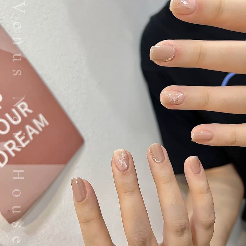 Venus Nail House 3