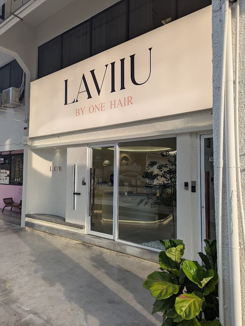 LAVIIU by One Hair (Uptown Damansara)