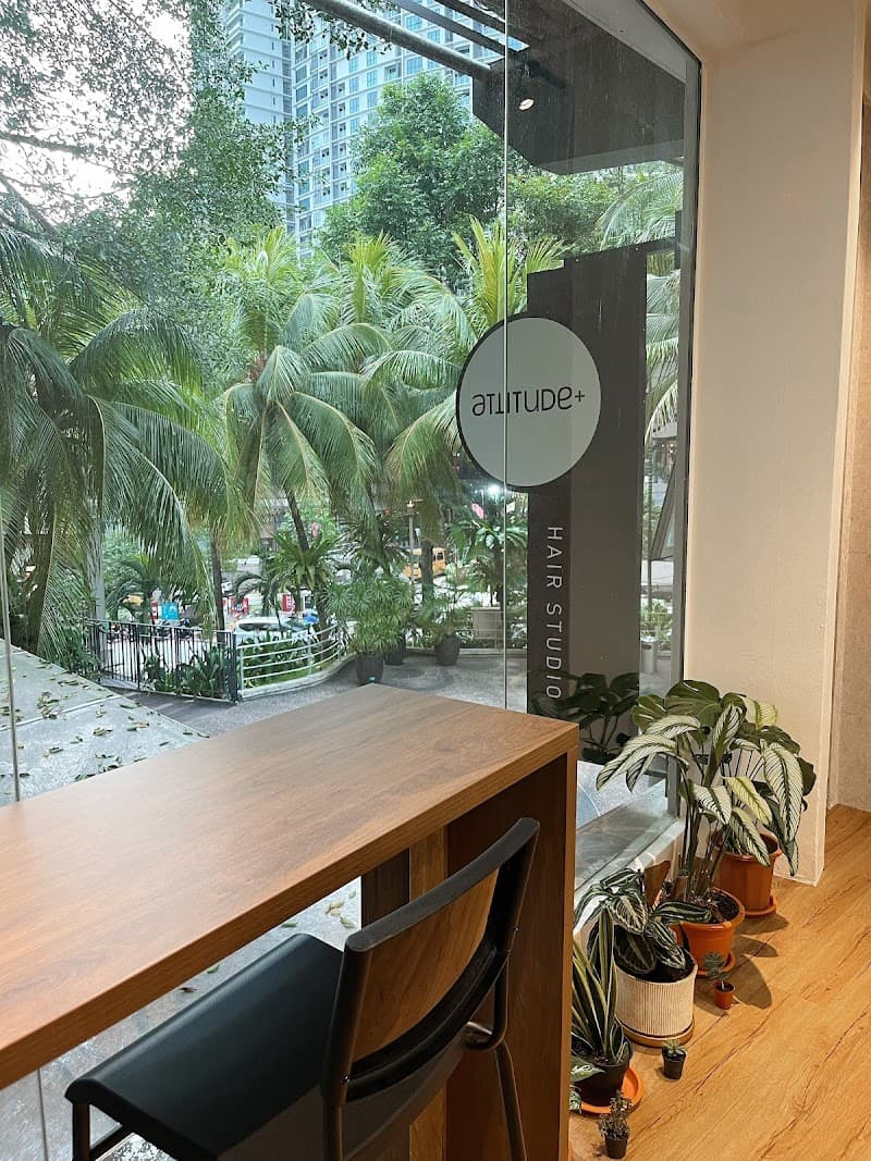 ATTITUDE PLUS HAIR STUDIO | SHOPLEX MONT KIARA 2