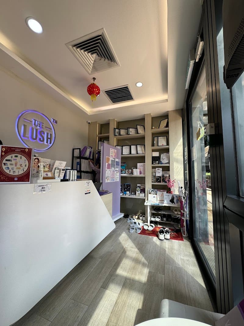 THE LUSH CLINIC @ Mont Kiara 2