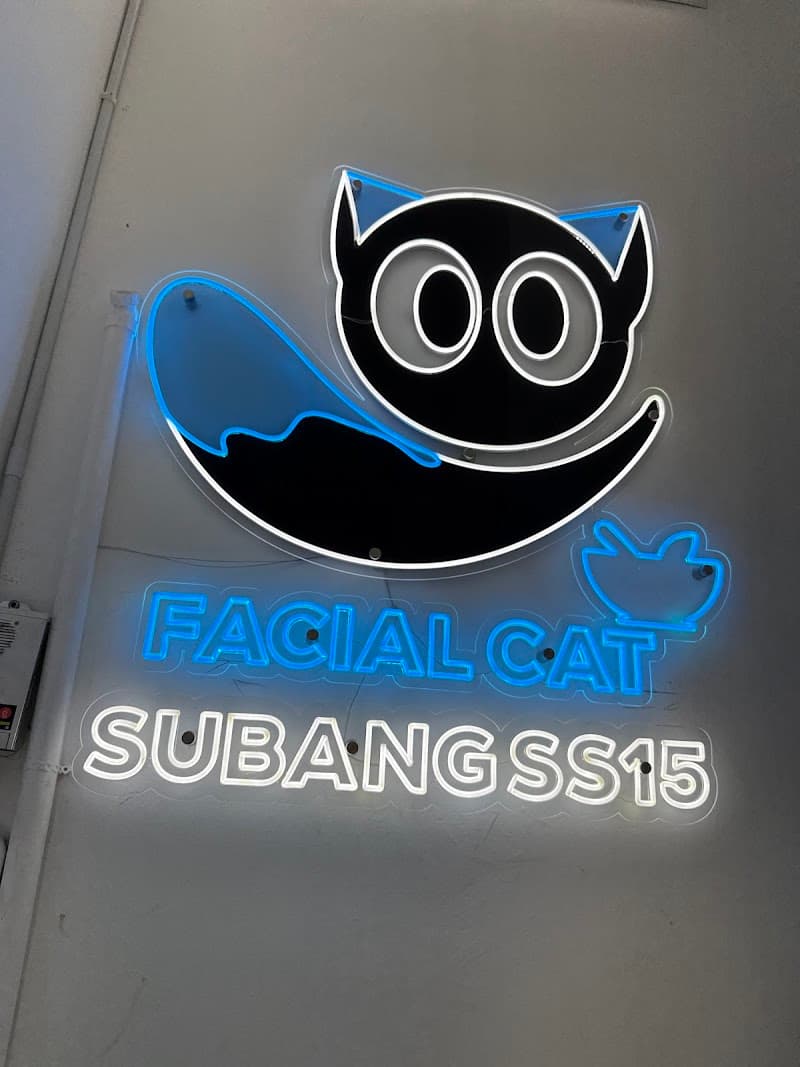 Facial Cat SS15 3