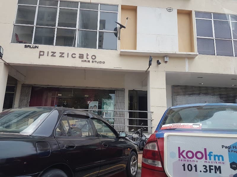 Pizzicato Hair Studio 2