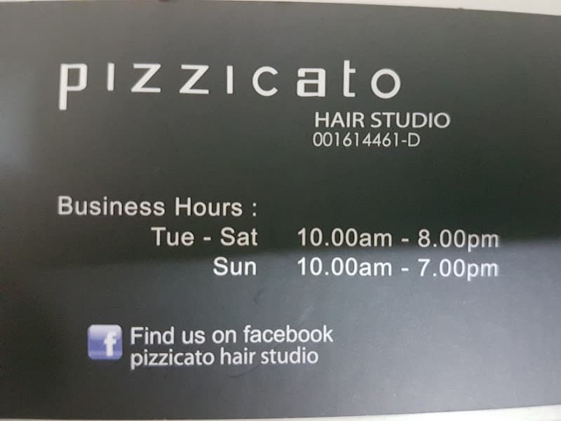 Pizzicato Hair Studio 3